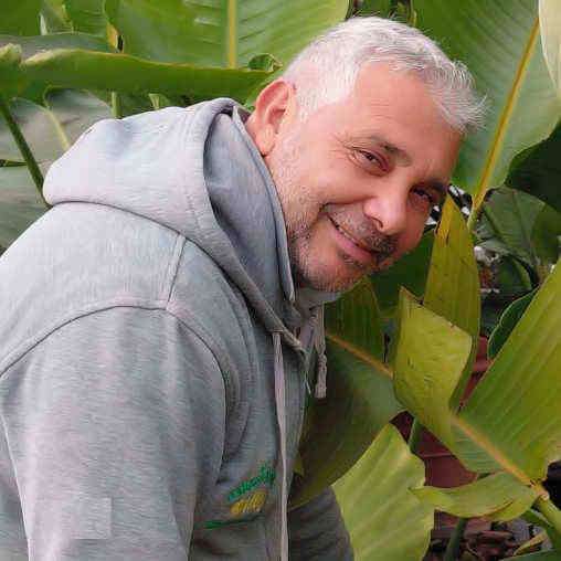 Vivaio Ladispoli e Cerveteri