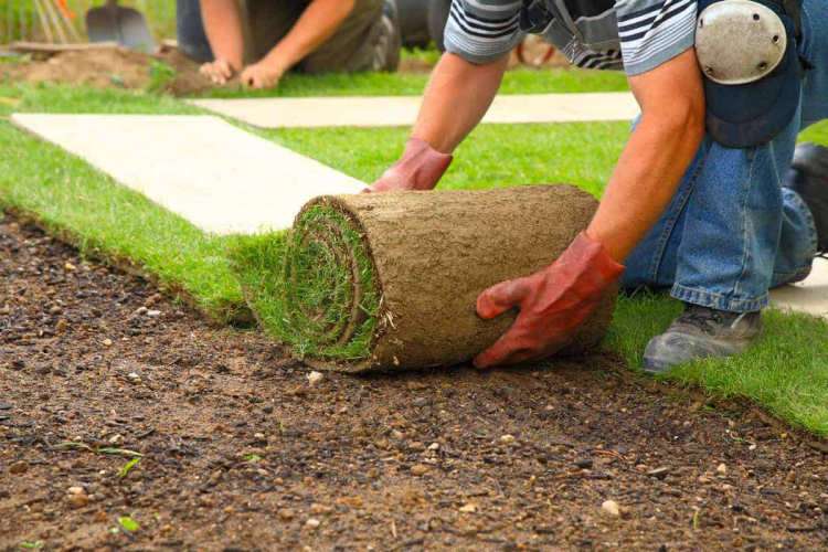 prato pronto ladispoli