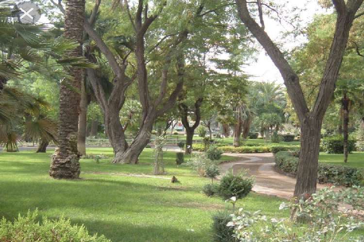 Manutenzione del verde