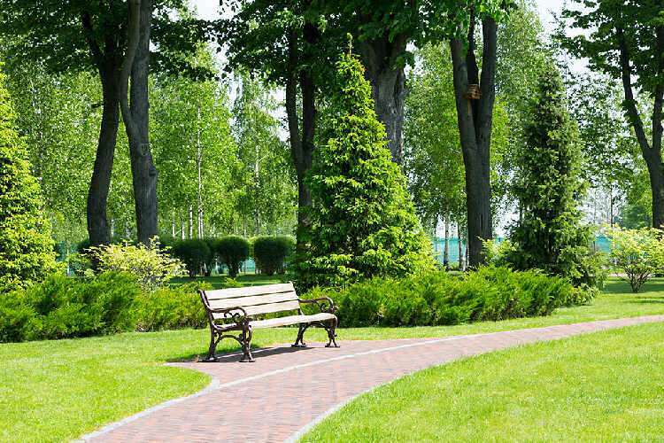 Manutenzione-verde-pubblico