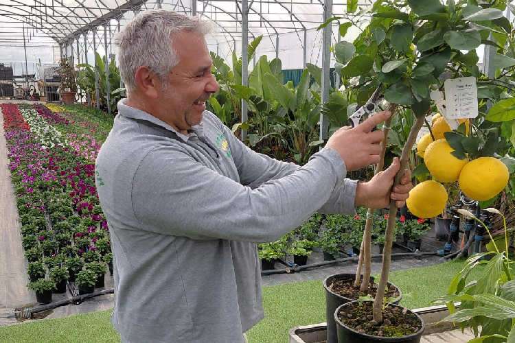 Francesco Gervasio Garden