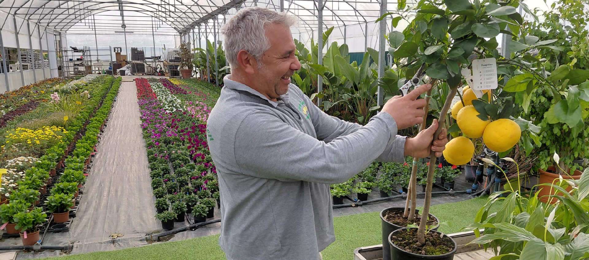 Francesco Gervasio Garden