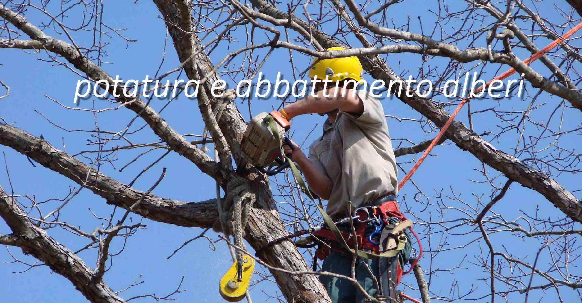 potatura alberi