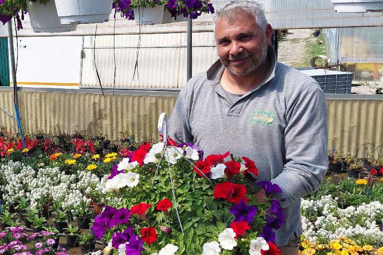 Francesco Gervasio Garden