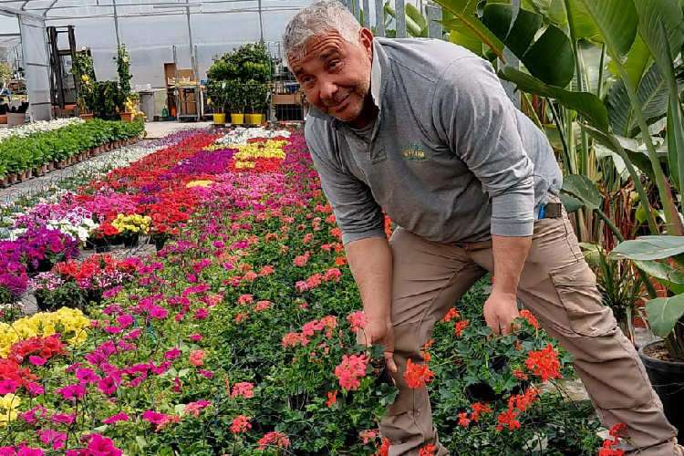 Francesco Gervasio Garden