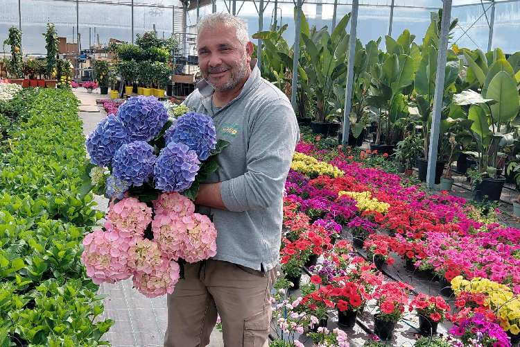 Francesco Gervasio Garden